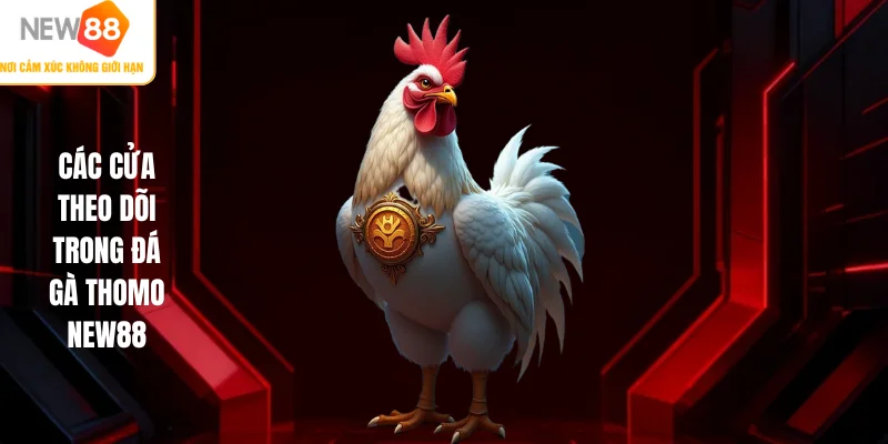 Các cửa theo dõi trong đá gà Thomo NEW88