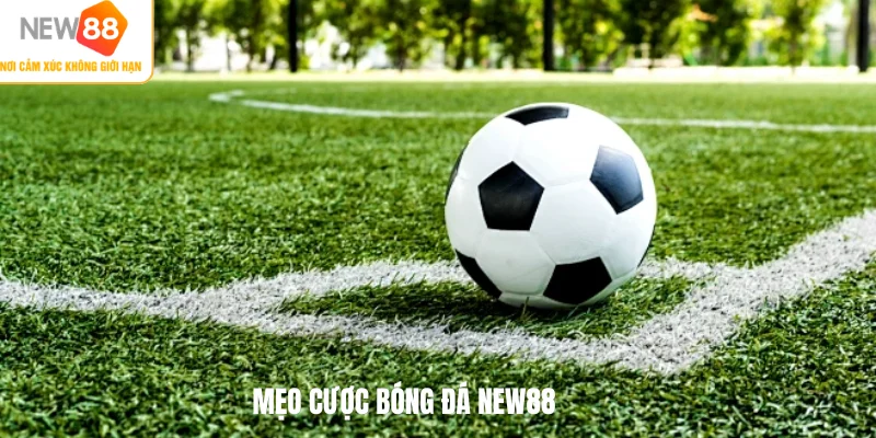 Mẹo cược bóng đá NEW88