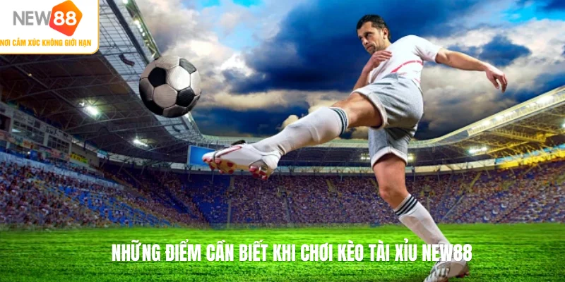 Những điểm cần biết khi chơi kèo tài xỉu NEW88