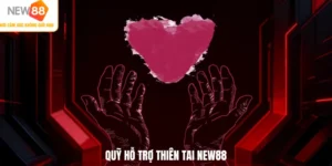 Quỹ hỗ trợ thiên tai NEW88