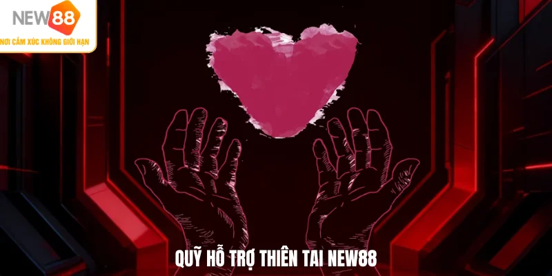Quỹ hỗ trợ thiên tai NEW88