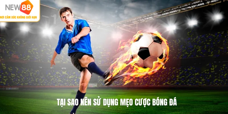 Tại sao nên sử dụng mẹo cược bóng đá